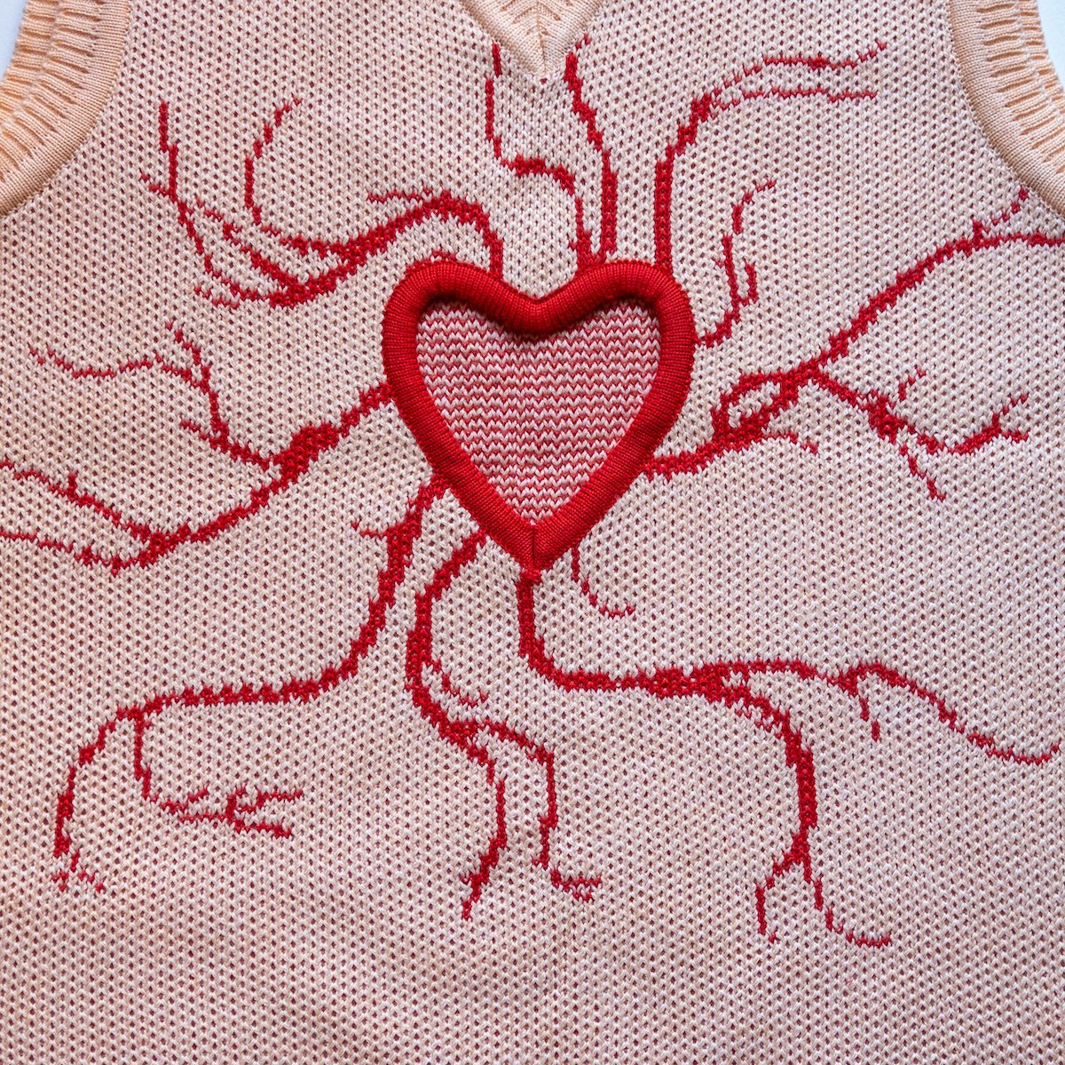 heart vest